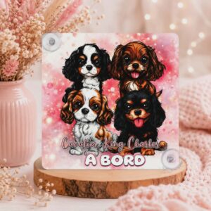 Panneau de voiture "Cavalier King Charles"
