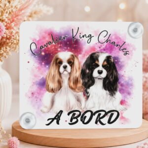 Panneau de voiture "Cavalier King Charles"