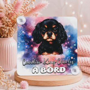 Panneau de voiture "Cavalier King Charles"