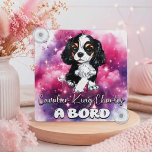 Panneau de voiture "Cavalier King Charles"