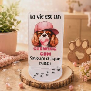 Cadre Acrylique "Cavalier King Charles Blenheim"
