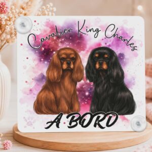 Panneau de voiture "Cavalier King Charles"