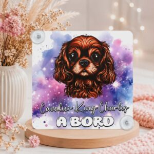 Panneau de voiture "Cavalier King Charles"