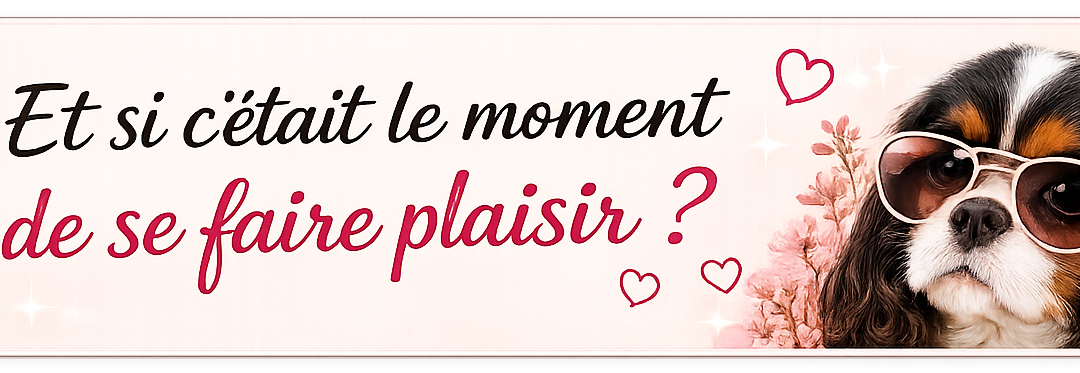 🎉 Une surprise rien que pour vous…