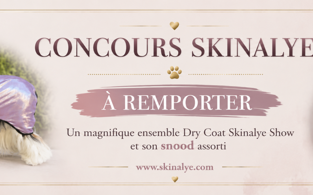Le concours Skinalye
