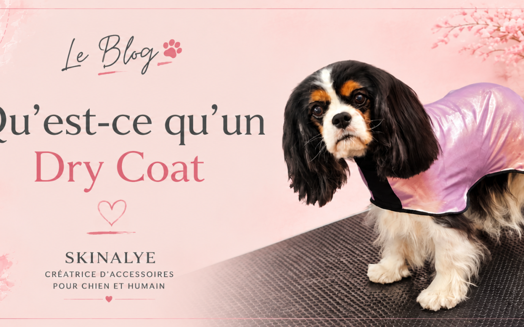 Dry Coat chien : qu&rsquo;est-ce que c&rsquo;est et à quoi sert-il ?